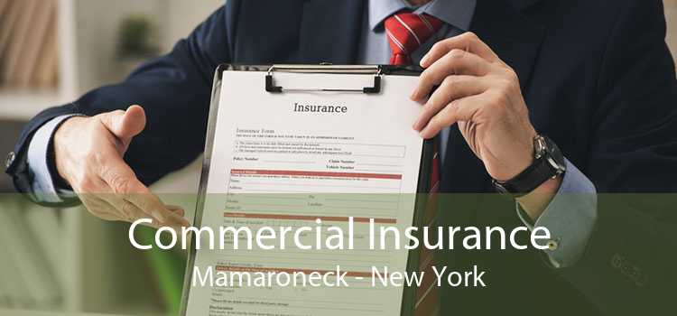 Commercial Insurance Mamaroneck - New York